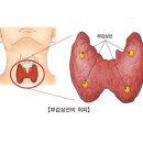 샘 이미지