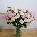 작약꽃 | 남대문꽃시장 작약 시즌 주말 방문후기