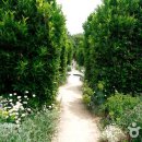다랑논에서 정원으로 ‘향기로운 변신’, 남해 섬이정원 이미지