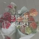 경기도 여주 오학 유지력이 좋은 꽃집 '하루하나', 카네이션 꽃다발 후기