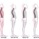 늘필라테스 - 춘천시 우두1길 87 | 늘필라테스