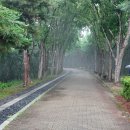 침산공원 이미지