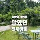 일상의아도 | 치앙마이인 줄 알았던 전주 도심 속 정원카페, 아도(ADO) 컵케이크 후기