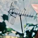 특별한 일상 나도 작가 이미지