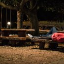 시인의 사랑 이미지