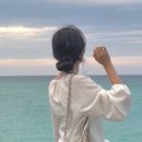 제주애아리 이미지