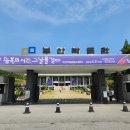 부산박물관 이미지