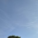 20260926여주cc 이미지