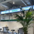 소코아(SOKOA) 이미지