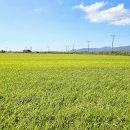 사포회관 이미지