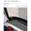 진상 이미지
