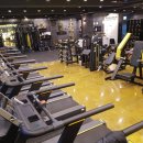 더 클래식 바디랩 이미지