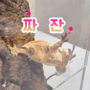 성진목욕탕 | [김즉흥 일상] 2024년 10월 5편, 인터내셔널 수다쟁이가 되.
