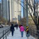 학의천변(인덕원초교앞) 이미지