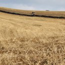 주산목장 이미지