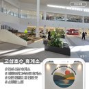 고삼호수로 | 휴게소 맞아? 스타필드인 줄,,, 안성 고삼호수휴게소 다녀온 솔직 후기