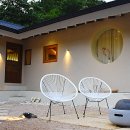 스테이더담 도율 이미지