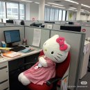 성공시대간판 | 강남 키이스케이프 [필름 바이 에디] 취준 4년차 에디의 취성패 도전기 꽃길 감성 방탈출 인생테마