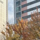 칭구칭구 pc방 | 일이 다시 풀리기 시작해요