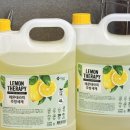 쇼핑은테라피 이미지