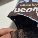 GS25 월평다모아점 | 편의점 신상 과자 ★랩노쉬 제로슈거 초코렛타★ 내돈내산 리뷰 - 다이어트 과자?