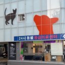 로얄종합동물병원 이미지
