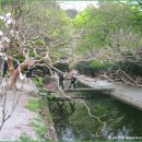 사월이네 이미지