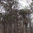 이사영 및 이백찬 묘 | 용인 광교산 상현동 등산코스 조광조묘역-응봉-매봉약수터-성복동 경남아너스빌1차-성서근린공원 산너울...