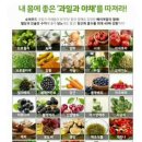 솔직푸드 이미지
