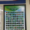 약초와 생활한방 이미지