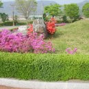 광용농장 이미지