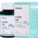 보령건강약국 이미지