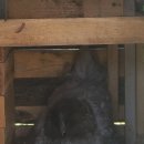 수야농장 이미지