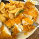 솔 피시 이미지