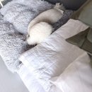 하이플레임 스테이 이미지