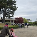 훌쩍 떠나보는 역사여행 (고대시대) | 경주국립박물관 관람시간 주차 소요시간 관람코스 총정리