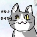 W-store 스타약국 | 일주일 내내 사고 택배받은 공식 굿즈들 개인후기