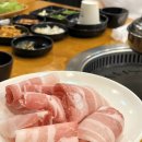 복복막창