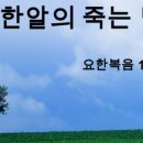 한나래유치원(광성드림학교) 이미지