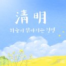 더메타애드