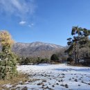 정근농장 이미지