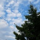 구룡포하정리씨앤트리펜션 네이버블로그