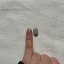 주식회사 디에이알 | 뉴트리디데이 멜라토스 - 식물성 멜라토닌 2mg 한 달 복용 후기