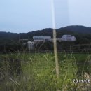 약동초교 이미지