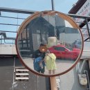 프랜드카세차장 | 남편의 소울프렌드 마쯔다 MX-5 옆에 타는 와이프가 느낀 점 ㅋㅋ