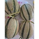 상훈농장 이미지