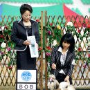 안녕하세요 이미지