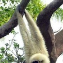 트윙클 펫샵 이미지