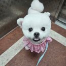 화멍화멍 이미지