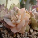 우혁농장 이미지